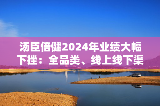 汤臣倍健2024年业绩大幅下挫：全品类、线上线下渠道销售额下滑  销售费用率44%创新高