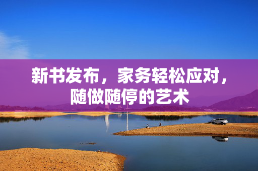 新书发布，家务轻松应对，随做随停的艺术