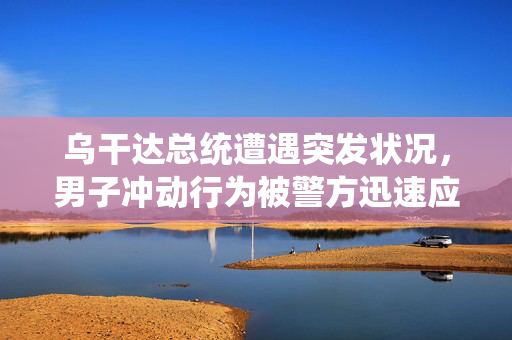 乌干达总统遭遇突发状况，男子冲动行为被警方迅速应对