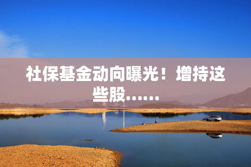 社保基金动向曝光！增持这些股……