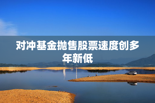 对冲基金抛售股票速度创多年新低