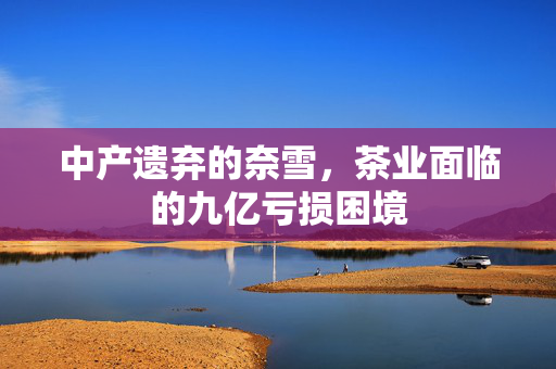 中产遗弃的奈雪，茶业面临的九亿亏损困境