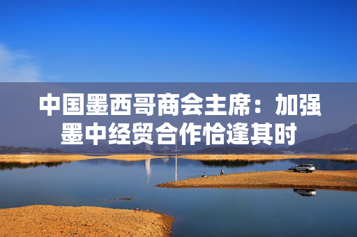 中国墨西哥商会主席：加强墨中经贸合作恰逢其时