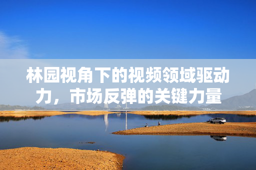 林园视角下的视频领域驱动力，市场反弹的关键力量