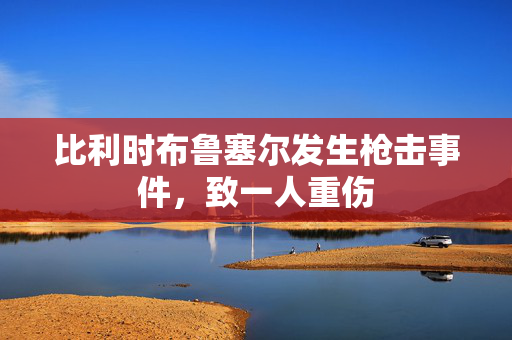 比利时布鲁塞尔发生枪击事件，致一人重伤