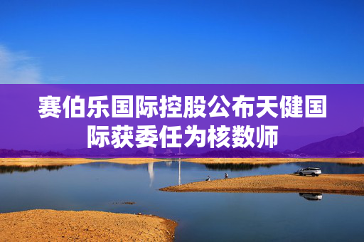 赛伯乐国际控股公布天健国际获委任为核数师