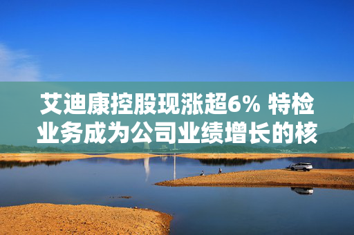 艾迪康控股现涨超6% 特检业务成为公司业绩增长的核心引擎