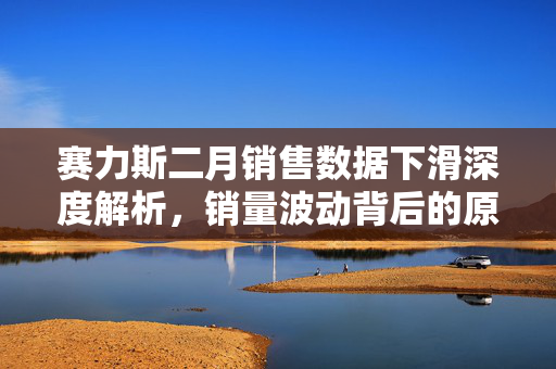 赛力斯二月销售数据下滑深度解析，销量波动背后的原因探究