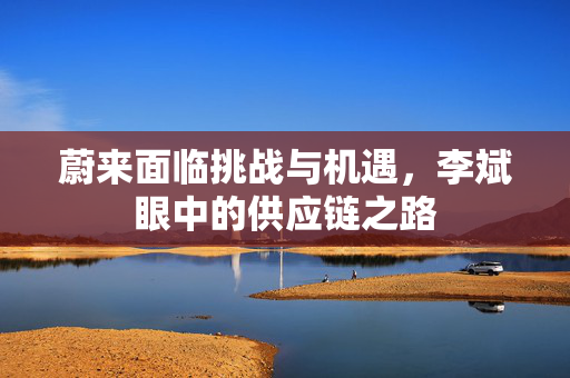 蔚来面临挑战与机遇，李斌眼中的供应链之路