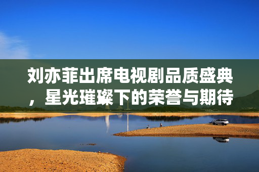 刘亦菲出席电视剧品质盛典，星光璀璨下的荣誉与期待