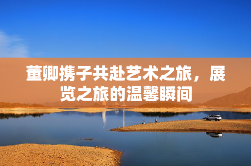 董卿携子共赴艺术之旅，展览之旅的温馨瞬间
