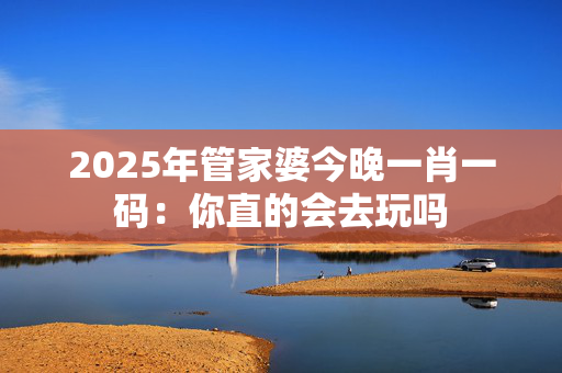 2025年管家婆今晚一肖一码：你直的会去玩吗