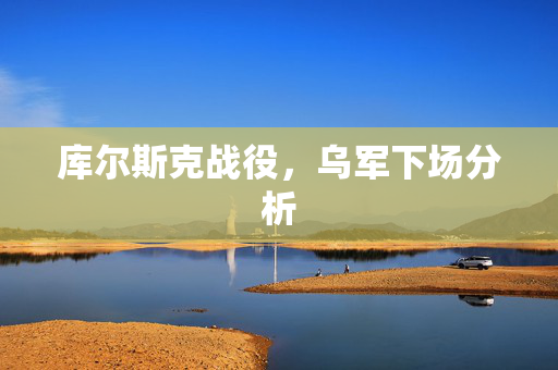 库尔斯克战役，乌军下场分析