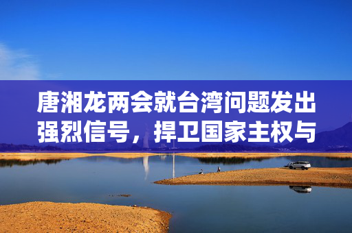 唐湘龙两会就台湾问题发出强烈信号，捍卫国家主权与统一立场坚定不动摇