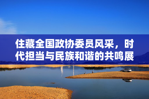 住藏全国政协委员风采，时代担当与民族和谐的共鸣展现
