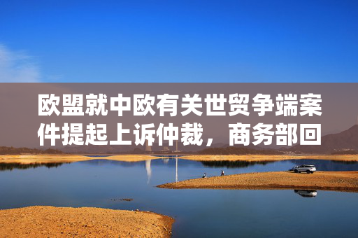 欧盟就中欧有关世贸争端案件提起上诉仲裁，商务部回应