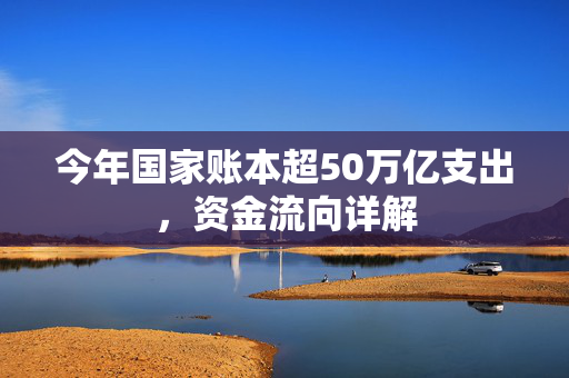今年国家账本超50万亿支出，资金流向详解
