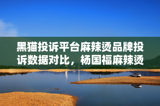 黑猫投诉平台麻辣烫品牌投诉数据对比，杨国福麻辣烫回复率不足三成