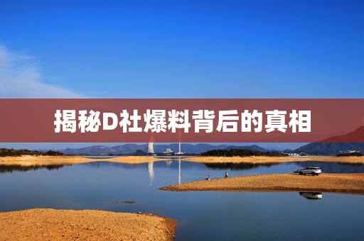 揭秘D社爆料背后的真相