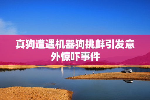 真狗遭遇机器狗挑衅引发意外惊吓事件