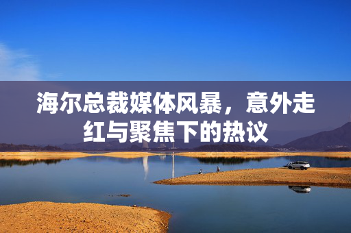 海尔总裁媒体风暴，意外走红与聚焦下的热议