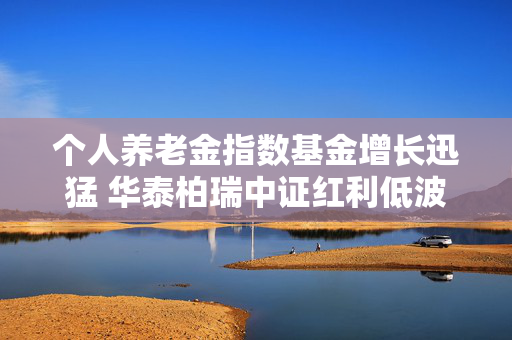 个人养老金指数基金增长迅猛 华泰柏瑞中证红利低波ETF联接Y份额成为首个规模超1亿元的“指数Y”