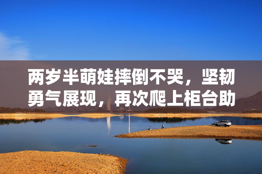 两岁半萌娃摔倒不哭，坚韧勇气展现，再次爬上柜台助力卖货