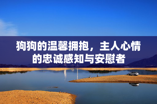 狗狗的温馨拥抱，主人心情的忠诚感知与安慰者