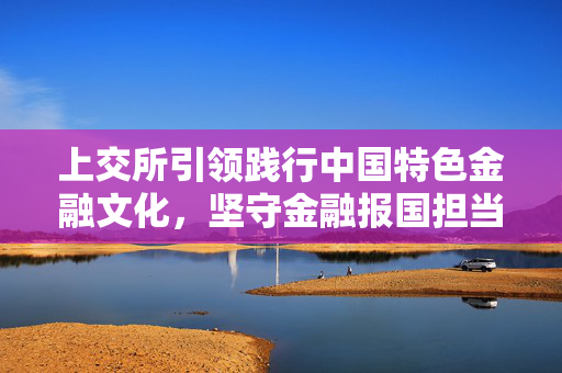 上交所引领践行中国特色金融文化，坚守金融报国担当，融合为民情怀的五大准则实践