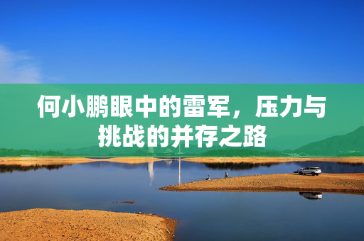 何小鹏眼中的雷军，压力与挑战的并存之路