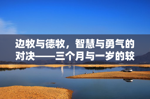 边牧与德牧，智慧与勇气的对决——三个月与一岁的较量