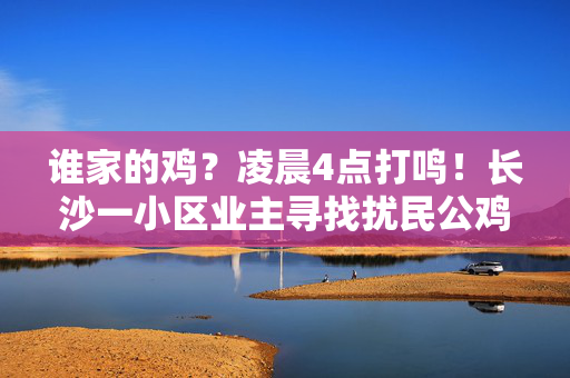 谁家的鸡？凌晨4点打鸣！长沙一小区业主寻找扰民公鸡，物业：在挨家挨户问