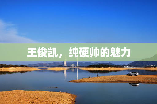 王俊凯，纯硬帅的魅力