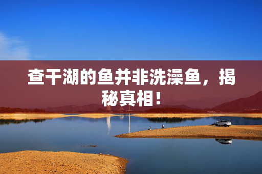 查干湖的鱼并非洗澡鱼，揭秘真相！