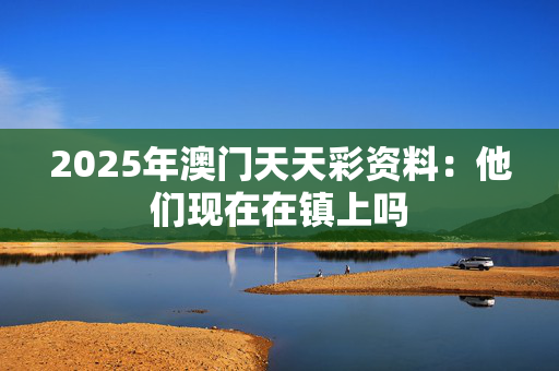 2025年澳门天天彩资料：他们现在在镇上吗