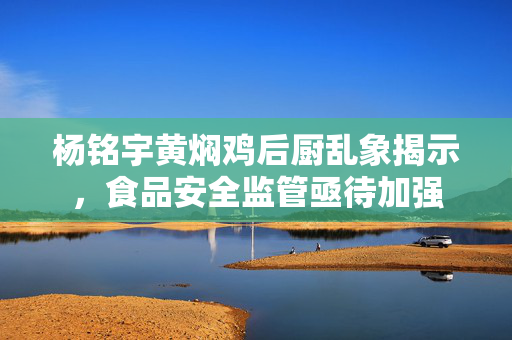杨铭宇黄焖鸡后厨乱象揭示，食品安全监管亟待加强