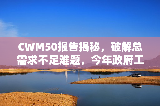 CWM50报告揭秘，破解总需求不足难题，今年政府工作首要任务详解