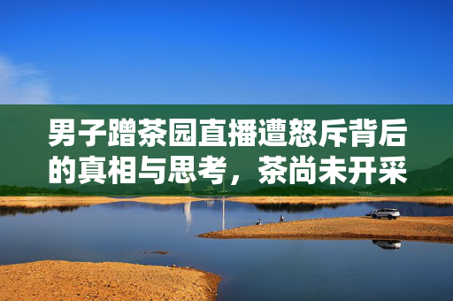 男子蹭茶园直播遭怒斥背后的真相与思考，茶尚未开采引发争议事件探究