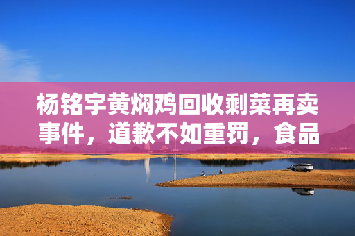 杨铭宇黄焖鸡回收剩菜再卖事件，道歉不如重罚，食品安全需严打！