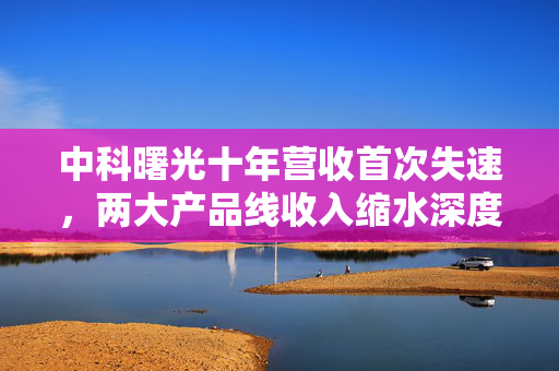 中科曙光十年营收首次失速，两大产品线收入缩水深度探究