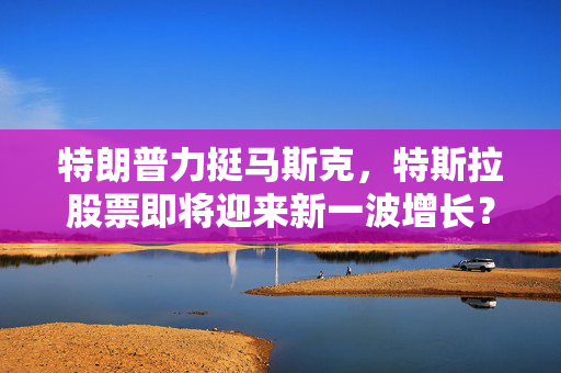 特朗普力挺马斯克，特斯拉股票即将迎来新一波增长？