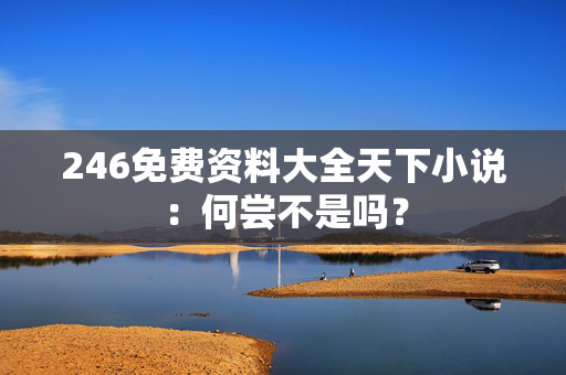246免费资料大全天下小说：何尝不是吗？