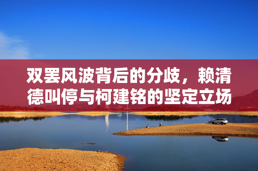 双罢风波背后的分歧，赖清德叫停与柯建铭的坚定立场