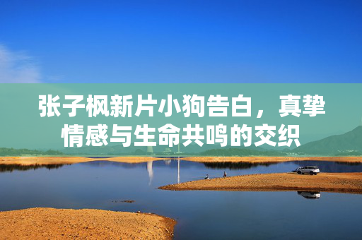 张子枫新片小狗告白，真挚情感与生命共鸣的交织