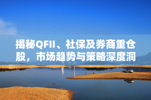 揭秘QFII、社保及券商重仓股，市场趋势与策略深度洞察