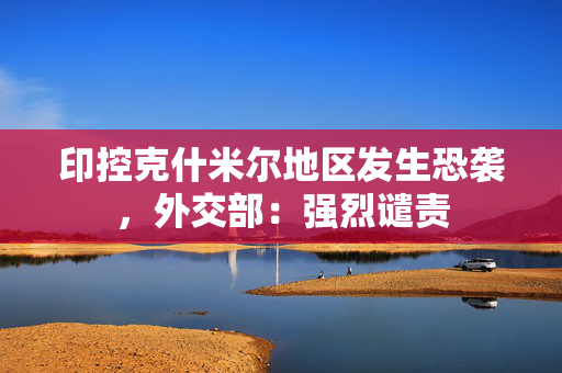 印控克什米尔地区发生恐袭，外交部：强烈谴责