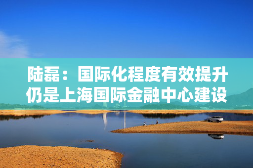 陆磊：国际化程度有效提升仍是上海国际金融中心建设的一个主要方向