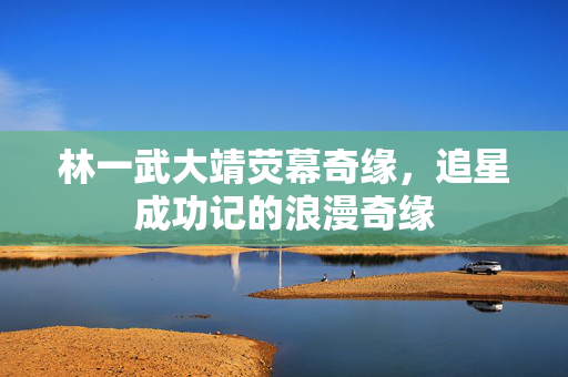 林一武大靖荧幕奇缘，追星成功记的浪漫奇缘