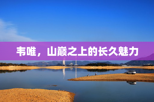 韦唯，山巅之上的长久魅力