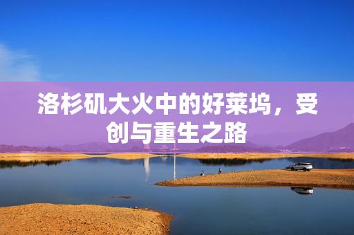 洛杉矶大火中的好莱坞，受创与重生之路